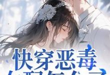 (全文)快穿恶毒女配怎么了，男主他超爱（江辞晚傅云承）试读更新章节快穿恶毒女配怎么了，男主他超爱免费小说-红妆文学