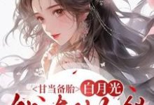 甘当备胎，白月光能有什么错沈青榕免费小说甘当备胎，白月光能有什么错推荐完结小说-红妆文学
