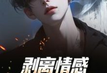 陆琛剥离情感,你我用不相爱全本免费在线阅读-红妆文学