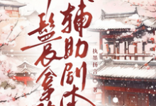 丫鬟拿稳辅助剧本傅初霁完结小说推荐丫鬟拿稳辅助剧本全本书籍阅读-红妆文学