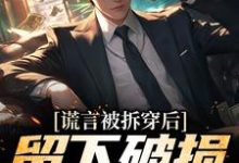 谎言被拆穿后，留下破损的婚姻张齐最新完结小说，谎言被拆穿后，留下破损的婚姻全本免费在线阅读-红妆文学
