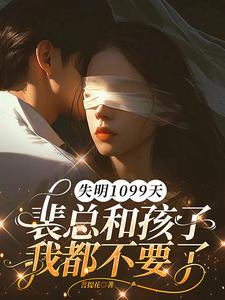 (全文)失明1099天，裴总和孩子我都不要了（谢南枝）试读更新章节失明1099天，裴总和孩子我都不要了免费小说