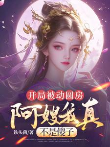 (全文)开局被动圆房，阿嫂我真不是傻子许修年完结小说推荐开局被动圆房，阿嫂我真不是傻子试读更新章节