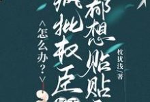 (全文)怎么办？疯批权臣每天都想贴贴我热门小说排行榜，怎么办？疯批权臣每天都想贴贴我顾轻舟全章小说阅读-红妆文学