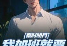 秦时明月：我加班就要被扣经验值赵子珏完结小说推荐，秦时明月：我加班就要被扣经验值全章小说阅读-红妆文学