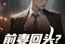 秦风前妻回头?可惜,迟了!全本免费在线阅读-红妆文学