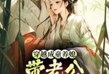 (全文)穿越成童养媳，带老公荒年发大财林十七小说推荐，穿越成童养媳，带老公荒年发大财全章小说阅读-红妆文学