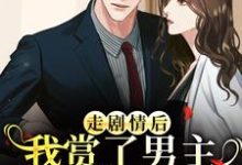 江淮宁走剧情后，我赏了男主三个巴掌练手全本免费在线阅读-红妆文学