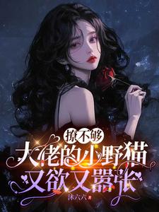 撩不够，大佬的小野猫又欲又嚣张（陆晨矅）小说推荐撩不够，大佬的小野猫又欲又嚣张全章小说阅读