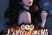撩不够,大佬的小野猫又欲又嚣张推荐完结小说撩不够,大佬的小野猫又欲又嚣张(陆晨矅)免费小说全本-红妆文学
