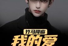 竹马降临，我的爱瞬间扫地（江书正）全本书籍阅读竹马降临，我的爱瞬间扫地完整版小说-红妆文学