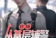 官场：从基层辅警开始崛起热门小说排行榜官场：从基层辅警开始崛起王初一免费小说全本-红妆文学