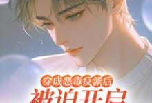 穿成恶毒反派后被迫开启修罗场（沈齐云）全章小说阅读-红妆文学
