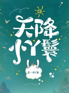 天降小丫鬟（夏夏）全本书籍阅读天降小丫鬟完整版小说