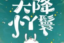 (全文)天降小丫鬟（夏夏）免费小说天降小丫鬟试读更新章节-红妆文学