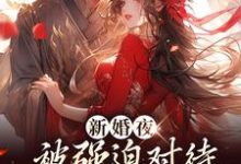 新婚夜被强迫对待，这叫不近女色？（谢临珩虞听晚）全章小说阅读-红妆文学