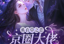 (全文)薰衣草之恋，京圈大佬暗恋我(宁清灵)全本免费在线阅读-红妆文学