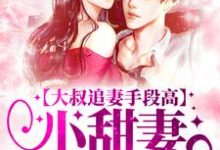 (全文)大叔追妻手段高，小甜妻逃不掉（叶柠谢聿礼）免费小说大叔追妻手段高，小甜妻逃不掉试读更新章节-红妆文学