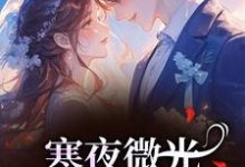 寒夜微光:她的逆袭人生袁小苔完结小说推荐寒夜微光:她的逆袭人生全本书籍阅读-红妆文学