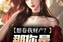 (全文)想卷我财产？那你是碰到铁板了热门小说排行榜，想卷我财产？那你是碰到铁板了舒楹全章小说阅读-红妆文学