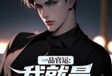 (全文)一品官运：我就是无冕之王（陈飞宇）免费小说一品官运：我就是无冕之王试读更新章节-红妆文学