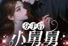 分手后，小舅舅夜夜洗床单最新章节阅读分手后，小舅舅夜夜洗床单(沈锦悦)试读更新章节-红妆文学