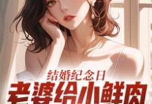 结婚纪念日，老婆给小鲜肉打榜应援完整版小说，结婚纪念日，老婆给小鲜肉打榜应援叶一帆试读更新章节-红妆文学