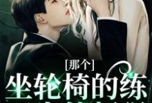 (全文)那个坐轮椅的练习生他超强江北生全本免费在线阅读-红妆文学