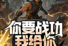 你要战功我给你,妖兽入侵你哭啥叶天免费小说你要战功我给你,妖兽入侵你哭啥推荐完结小说-红妆文学