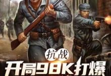 抗战：开局98K打爆大佐狗头推荐完结小说，抗战：开局98K打爆大佐狗头林平安免费小说全本-红妆文学
