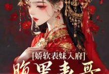 (全文)娇软表妹入府：腹黑表哥沦陷了（沈云婉）免费小说娇软表妹入府：腹黑表哥沦陷了试读更新章节-红妆文学