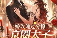 娇玫瑰过分撩，京圈太子底线全抛（邓恩雅）全章小说阅读-红妆文学