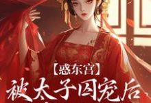 惑东宫：被太子囚宠后，她权倾天下完整版小说，惑东宫：被太子囚宠后，她权倾天下陆菀音试读更新章节-红妆文学