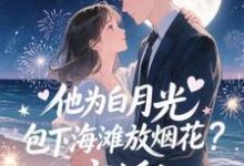 他为白月光包下海滩放烟花？离婚！霍宴州云初完结小说推荐他为白月光包下海滩放烟花？离婚！全本书籍阅读-红妆文学