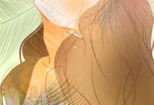 老公把女上司的猫接回家后,我选择离婚小说,老公把女上司的猫接回家后,我选择离婚最新章节-红妆文学