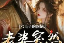 (全文)六皇子的烦恼：老婆突然不瞎了谢成君小说推荐，六皇子的烦恼：老婆突然不瞎了全章小说阅读-红妆文学