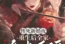 惨死新婚夜，重生后全家跪求原谅姜梨完结小说推荐，惨死新婚夜，重生后全家跪求原谅全章小说阅读-红妆文学