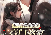 苏念念小可怜揣崽偷哭，豪门婆家来团宠全本免费在线阅读-红妆文学