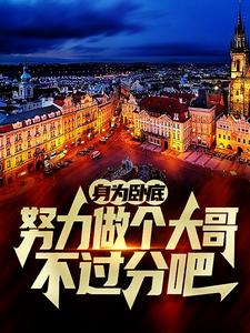 身为卧底，努力做个大哥不过分吧（白舟）全本书籍阅读身为卧底，努力做个大哥不过分吧完整版小说