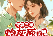 守寡三年，炮灰原配带崽去离婚苏月热门小说排行榜守寡三年，炮灰原配带崽去离婚免费小说-红妆文学