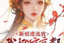 (全文)新婚遭流放，我搬空京都去逃荒(桑晚柠)全本免费在线阅读-红妆文学