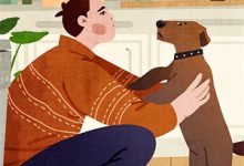 白发空绾未归人小说阅读,白发空绾未归人完结版-红妆文学