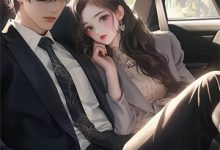 小说《愿为你摘星》章节免费阅读-红妆文学