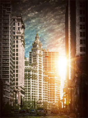 玫瑰未开已成荆棘最新章节，玫瑰未开已成荆棘免费阅读