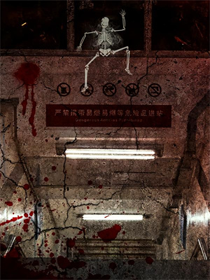 完结版《望不穿月影西沉》免费阅读