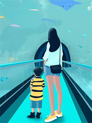 《四合院：这个穿越者不正经》全集免费在线阅读（江文）