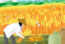 你是我无望的深渊贺潮邱露小说完结版章节在线阅读-红妆文学