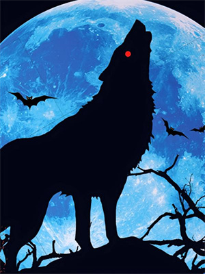 完结版《重生洞房花烛夜，她踩着白骨杀疯了》章节阅读